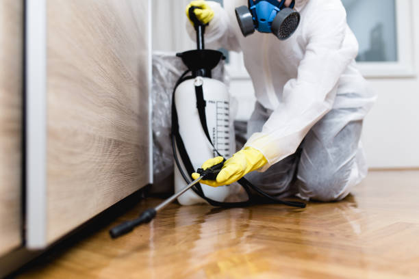 Best Residential Pest Control  in Pquemine, LA
