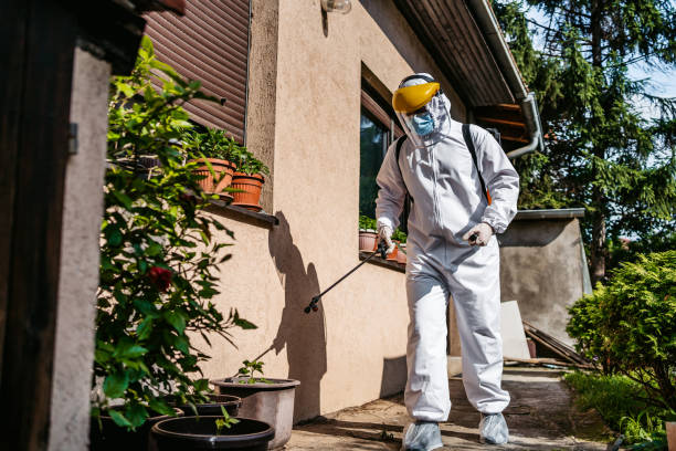 Best Pest Control Near Me in Plaquemine, LA