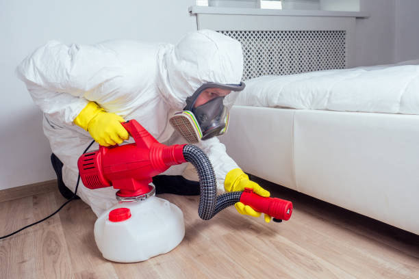 Best Best Pest Control Companies  in Pquemine, LA