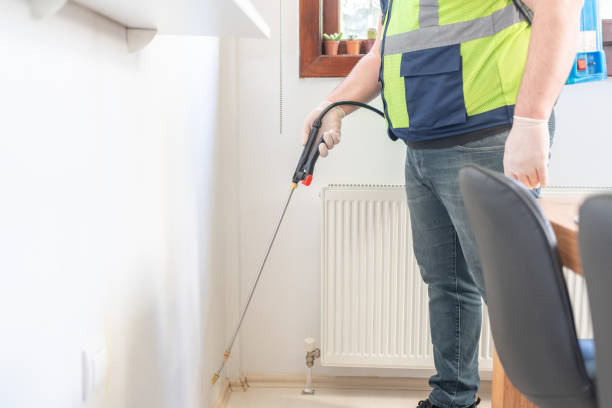 Best Exterminator Services  in Pquemine, LA