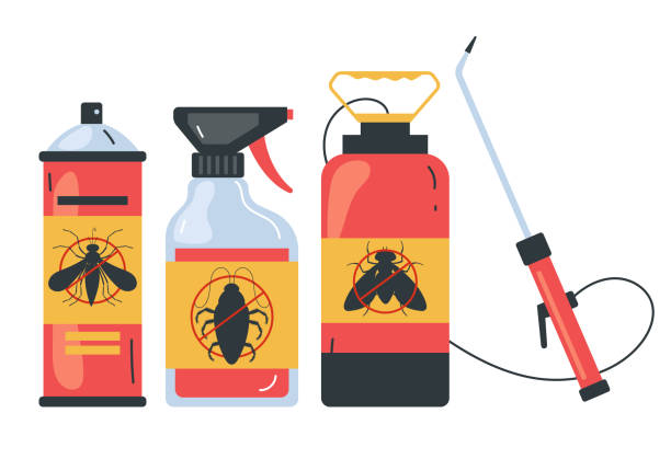 Best Affordable Pest Control Services  in Pquemine, LA