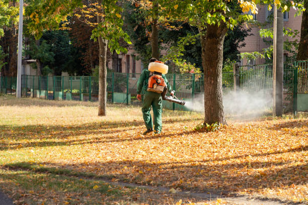 Best Affordable Pest Control Services  in Pquemine, LA
