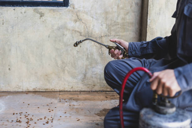 Pest Control Cost in Plaquemine, LA